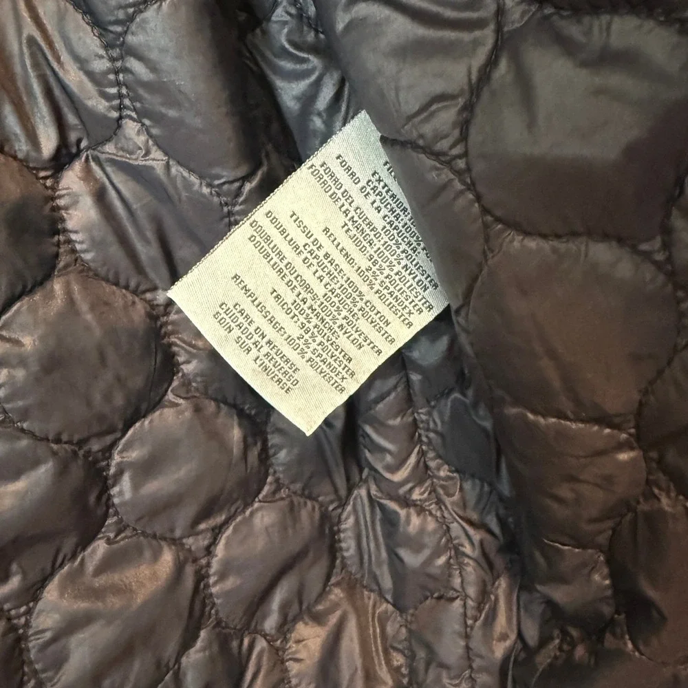 Levis levis mens